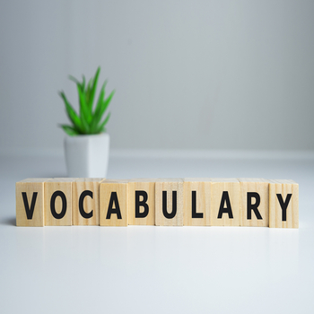 Guidelines for Researchers to Improve Their Academic Vocabulary