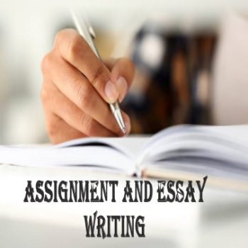 Assignment & Essay Writing