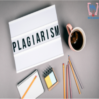 Plagiarism report generation